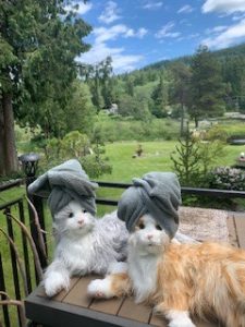 The companion pets on their SPAW vacation